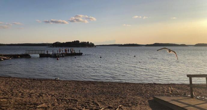 WhatsApp Image 2019-07ö-18 at 23.29.39.jpeg